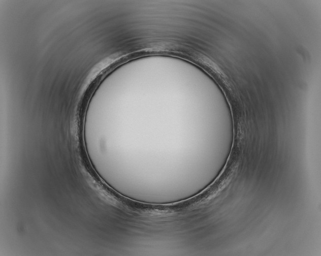 X0000115251122200911131719