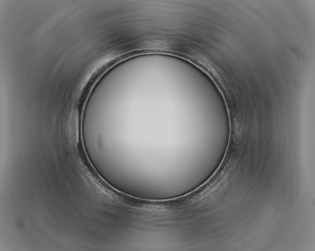 X0000115251123200911131719