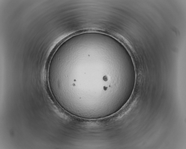 X0000115251125200911131719