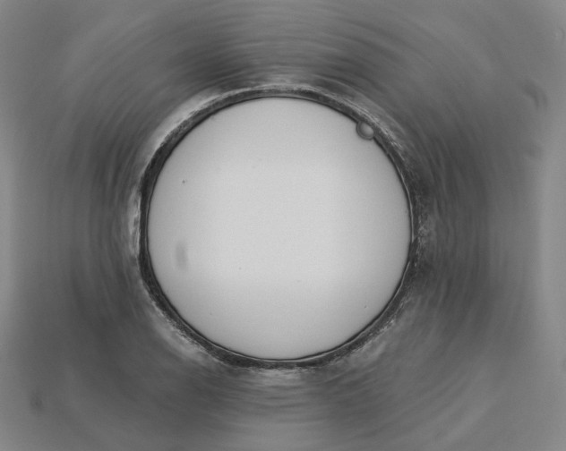 X0000115251126200911131719