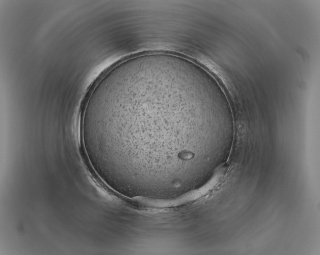 X0000115251127200911131719