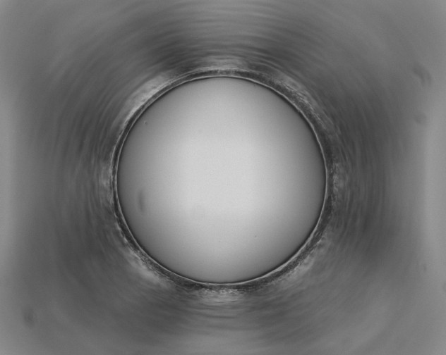 X0000115251129200911131719