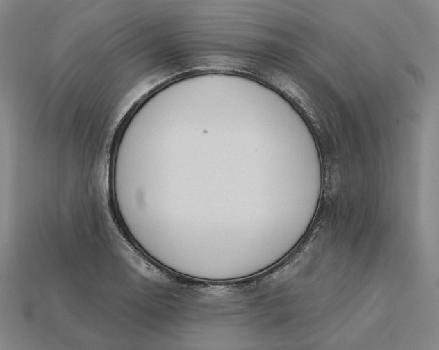 X0000115251130200911131719