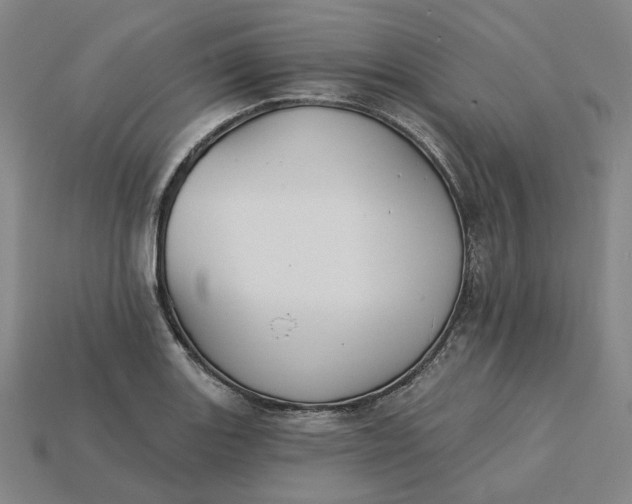 X0000115251131200911131719