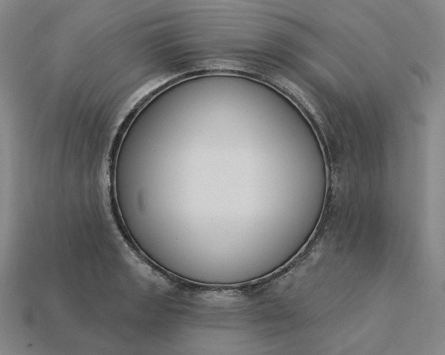 X0000115251133200911131719