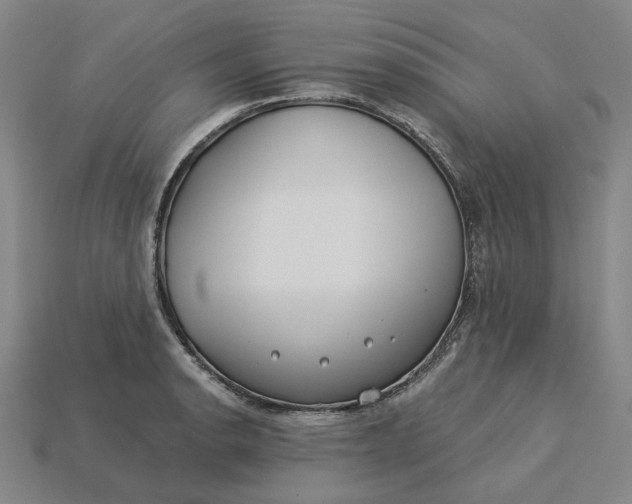 X0000115251134200911131719