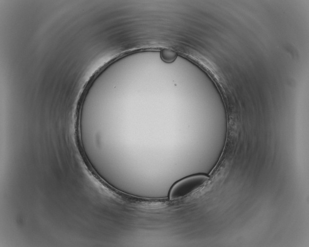 X0000115251135200911131719