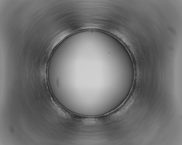 X0000115251137200911131719