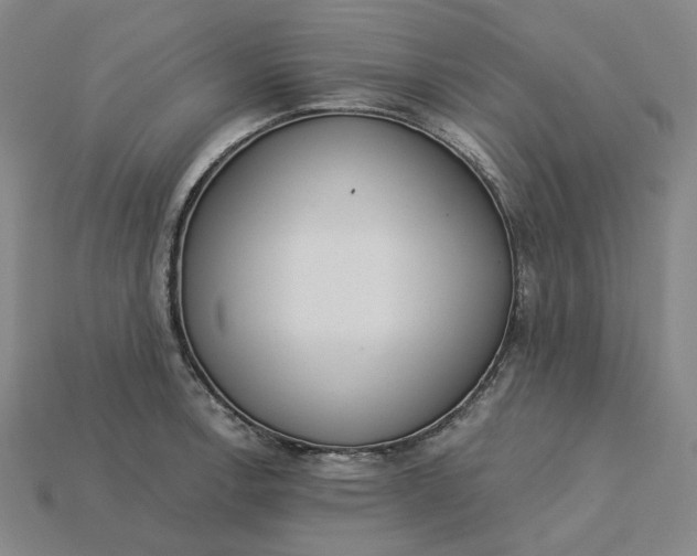 X0000115251138200911131719