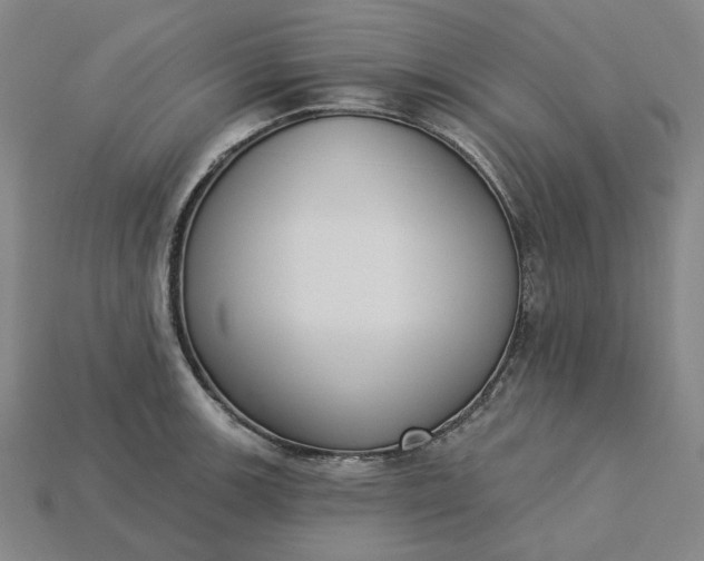 X0000115251139200911131719