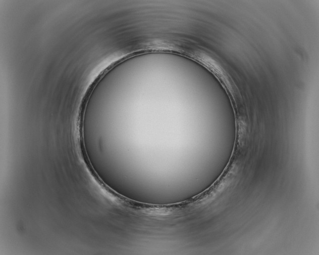 X0000115251141200911131719