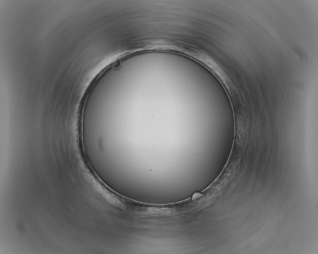 X0000115251142200911131719