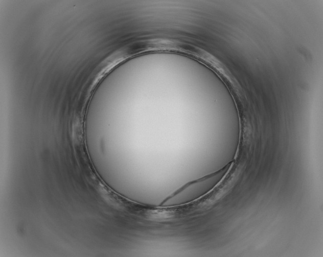 X0000115251145200911131719