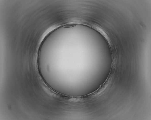 X0000115251146200911131719