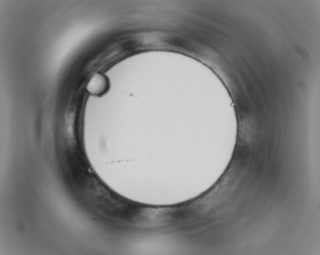 X0000115251150200911131719