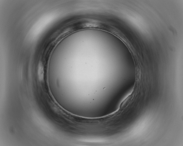 X0000115251151200911131719