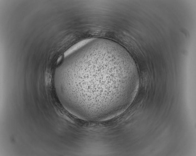 X0000115251154200911131718
