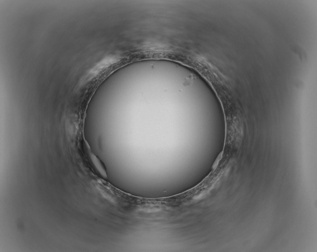 X0000115251157200911131718