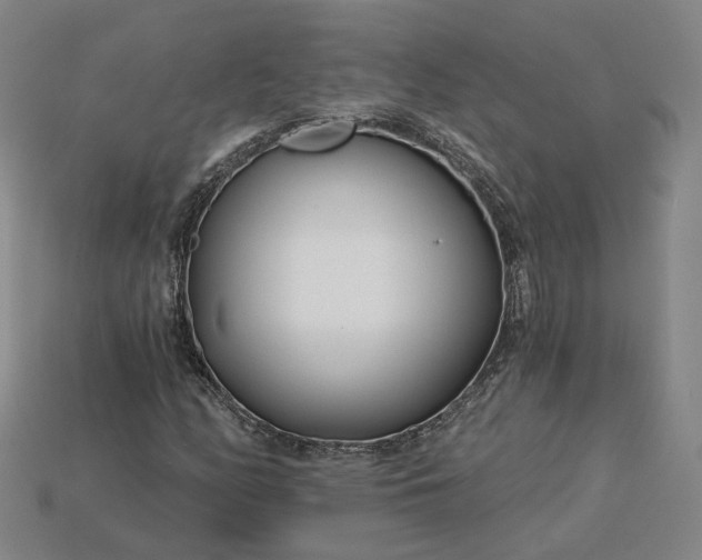 X0000115251158200911131718