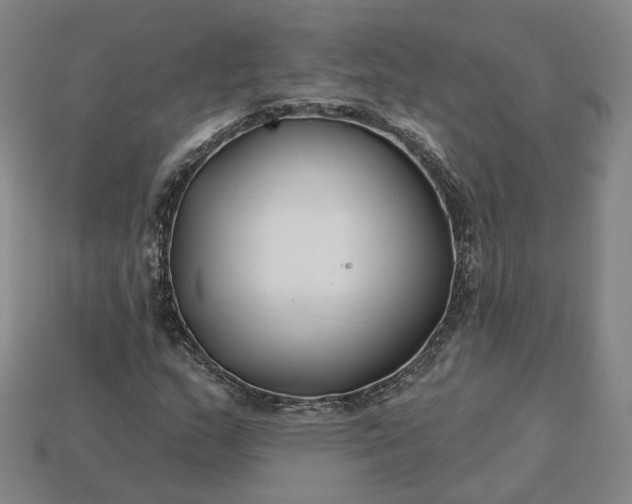 X0000115251159200911131718