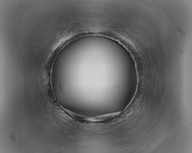 X0000115251160200911131718