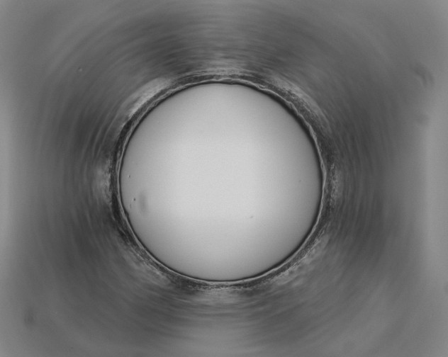 X0000115251162200911131718