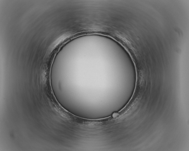X0000115251163200911131718