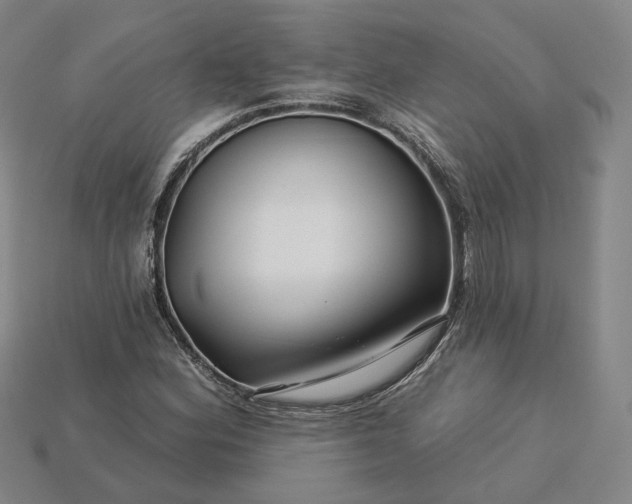 X0000115251164200911131718