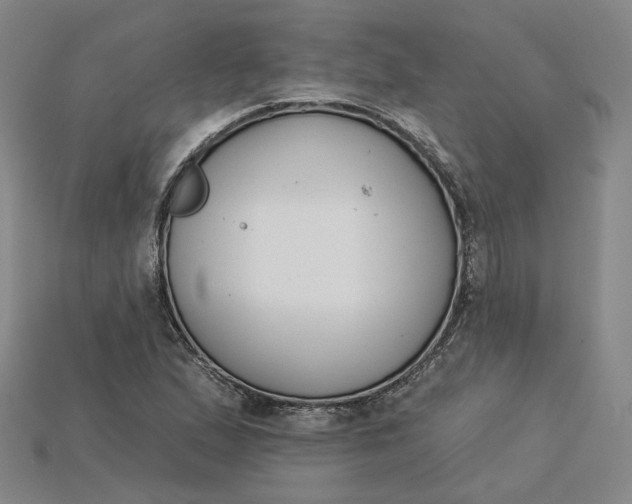 X0000115251167200911131718