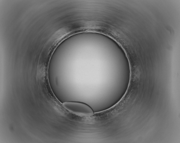 X0000115251169200911131718