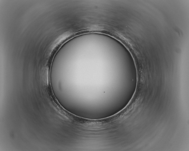 X0000115251171200911131718