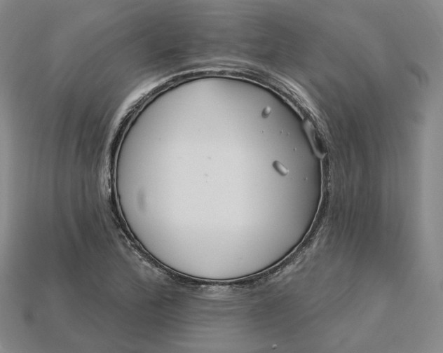 X0000115251172200911131718