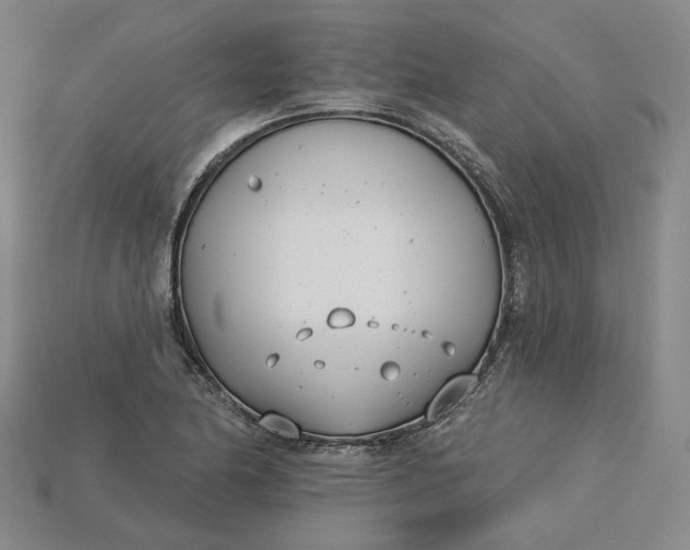 X0000115251174200911131718