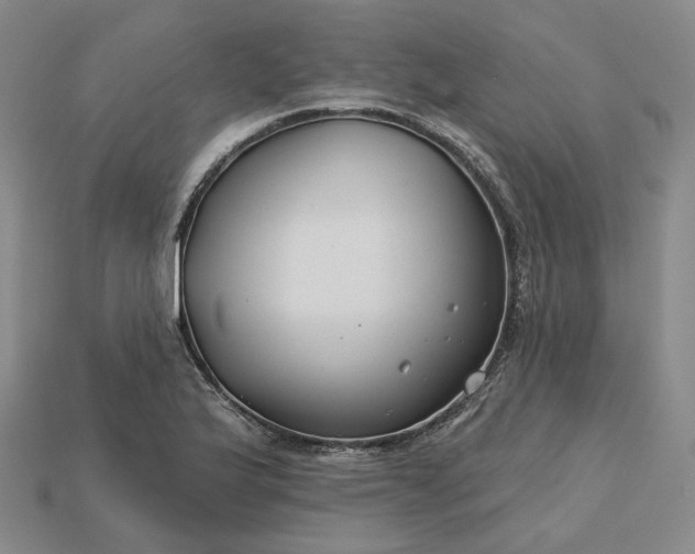 X0000115251175200911131718