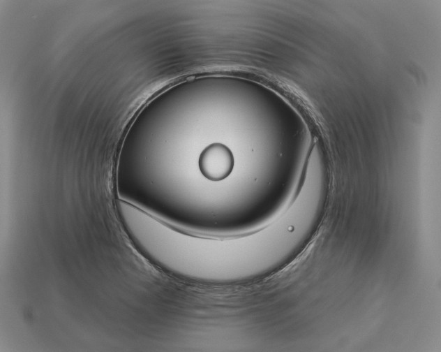 X0000115251177200911131718