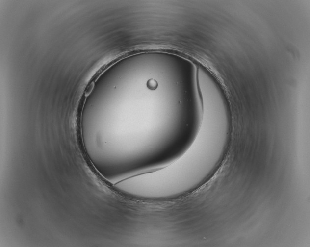 X0000115251181200911131718