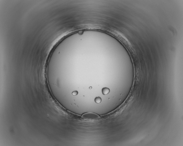X0000115251182200911131718