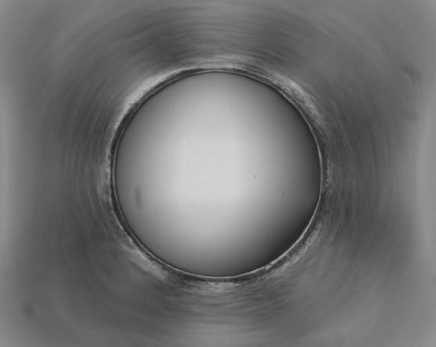 X0000115251184200911131718