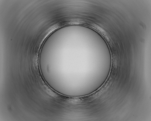 X0000115251186200911131718