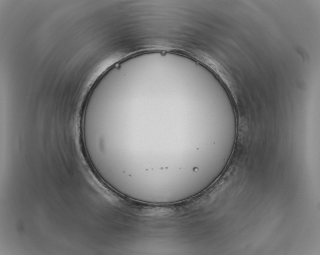 X0000115251187200911131718