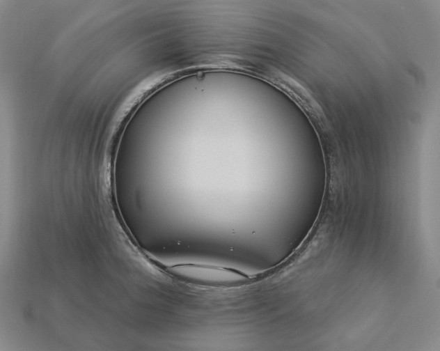 X0000115251188200911131718