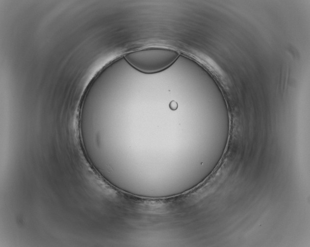 X0000115251190200911131718