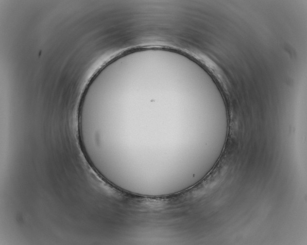 X0000115251191200911131718