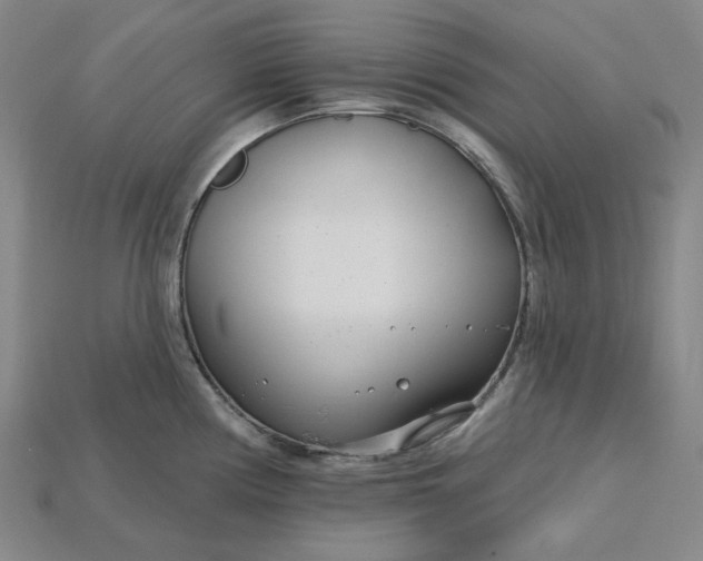 X0000115251194200911131718
