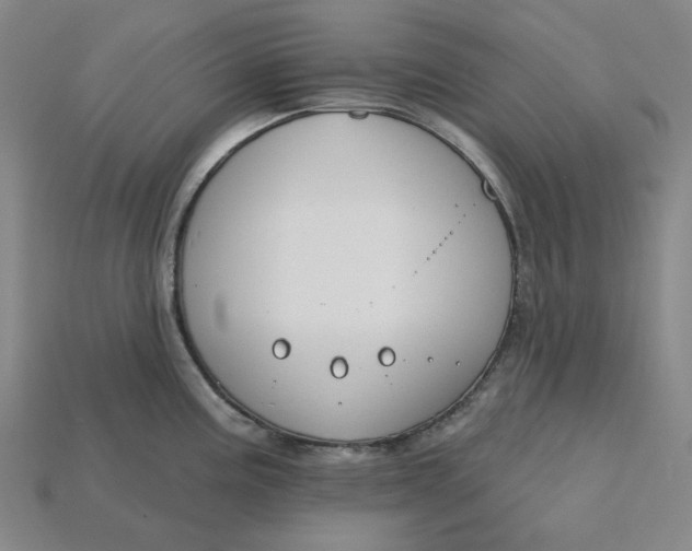 X0000115251195200911131718