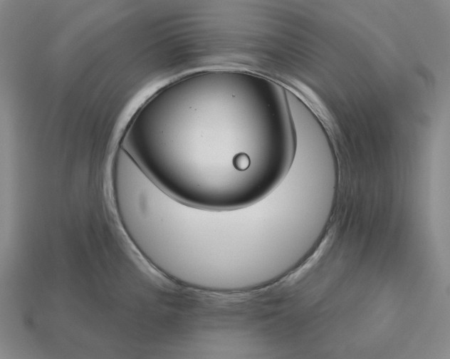 X0000115251196200911131718