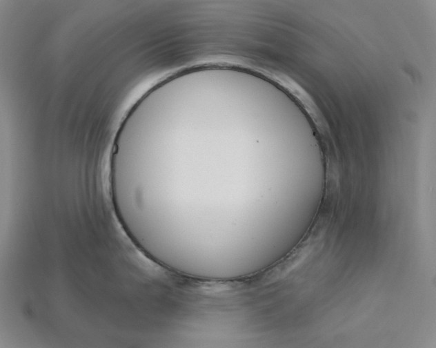 X0000115251199200911131718