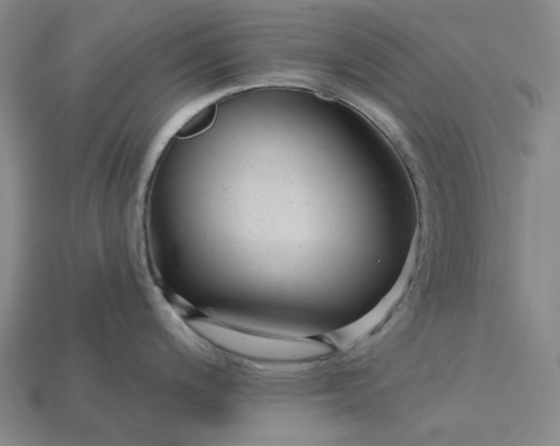 X0000115251200200911131718