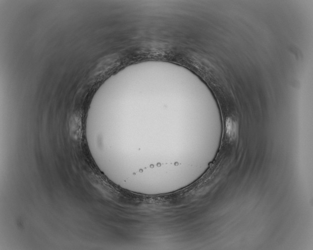 X0000115251203200911131717