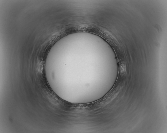 X0000115251204200911131717